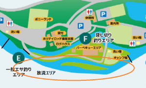 ☆週末&パインレイク平日放流情報☆