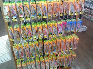 秋イカの季節となりました☆