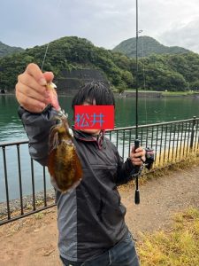 沼津でライトソルト～🎣
