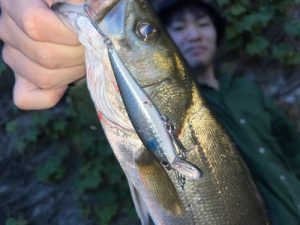 梅雨時期と言えば・・・