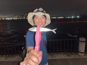 明日からサマーセール！！