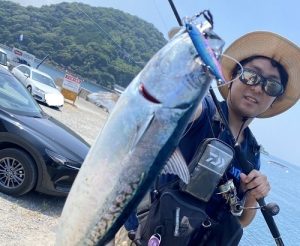 本日からサマーセール！！！