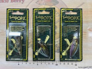 ベビーポップX入荷！！