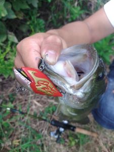 秋の巻物シーズン到来🎣