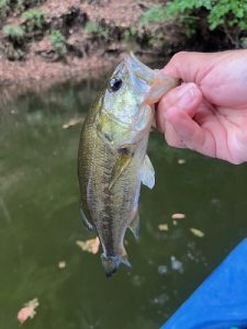 戸面原ダム釣行🎣