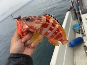 初めてのぼーとろっく!