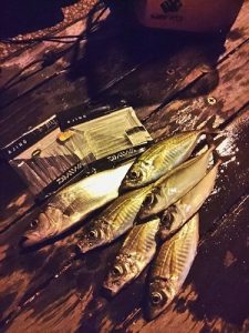 湘南エリアに生命反応あり!!