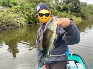 中層を攻略せよ！！！！