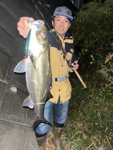 今年最後の買取UPキャンペーン！！