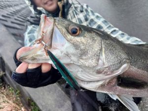 雨が降ったら・・・（珍ゲストも登場）