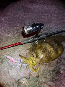 エギングまだまだ釣れてます🎣