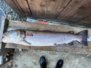 今年も出ました！！！！