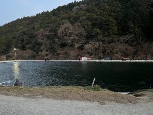 頂きを求めて🎣