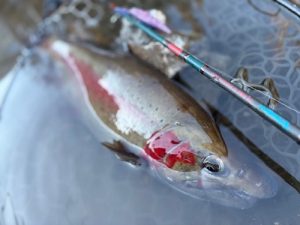 新スタッフ紹介！！