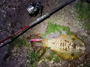 久々にあの釣果が！？！？