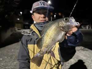 明日は毎月恒例の・・・