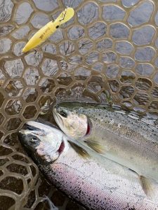 スタッフ桐生のエリアトラウト釣行