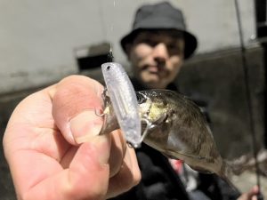 春告シーズン到来？？