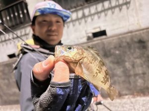 この期間をお見逃しなく！！