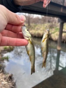 寄り道からの意外な釣果？