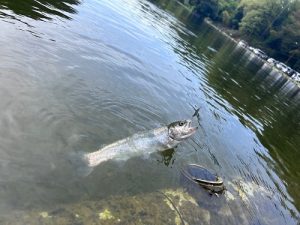 はじめての釣り教室‼🎣