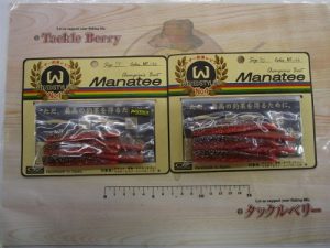 アカハタヒラメに‼マナティー入荷🐟