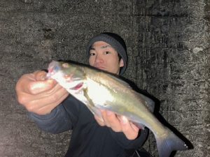 湘南ルアーゲームがアツい‼🎣