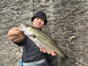 湘南エリア釣果情報‼🎣