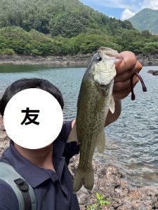 雨上がりを目指す・・・🐟