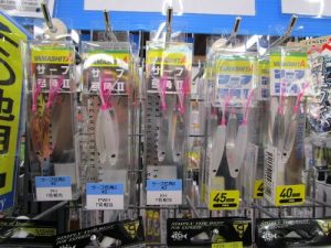 弓角の季節がやってきた‼🎣