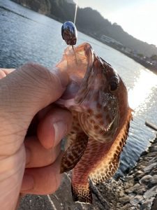 途切れ途切れの一縷でも…
