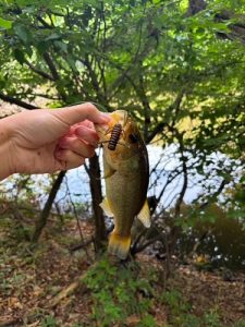 最高の釣果へ‼🎣