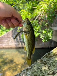 澄み渡った空に爆釣‼🎣