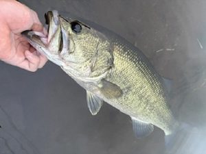 スタッフ桐生の初芦ノ湖釣行！！