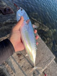基本のキホン‼✨