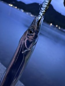 えんどれす沼津。