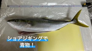 神戸空港ショアジギング行って来ました！！