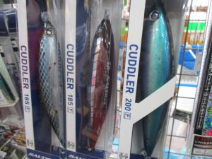 ロックショアで人気の！