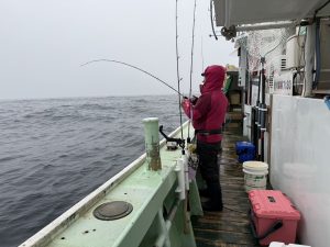 釣果情報とジグマダイ用フック