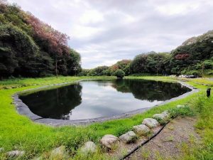 イチロー池もうそろそろ満タンです