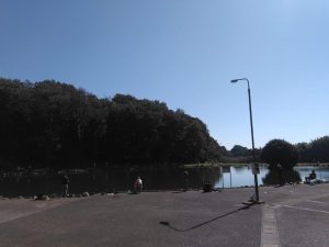 10月なのに暑いです。