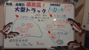 今週の放流情報！
