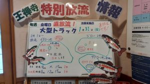 1月31日金曜日～放流情報