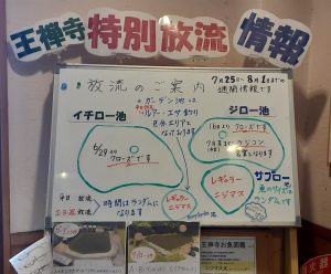 7/25~8/1 週間放流情報