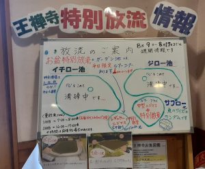 8/9~8/17お盆期間特別放流情報