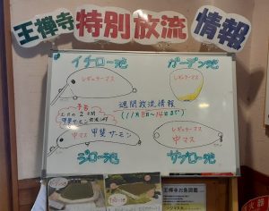 エリアトラウトシーズン