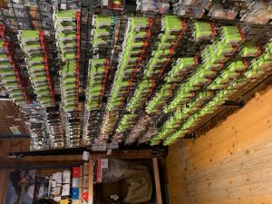 ティモン充実！