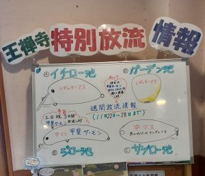 11/22~11/28 週間放流情報