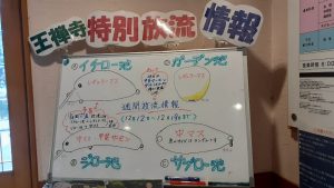 12/12~12/19 週間放流情報