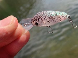 クランク好釣！